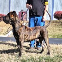 20251116 114101 Resized 1