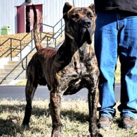 20251116 114210 Resized 1