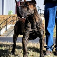 20251116 114216 Resized 1