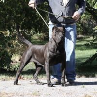 23oct0z4a8076 Inpixio