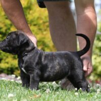 Black5wks0z4a8111 Inpixio