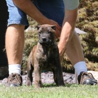 Blue10wks0z4a1620 Inpixio