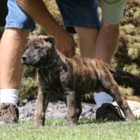 Blue10wks0z4a1646 Inpixio