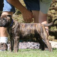 Blue10wks0z4a1657 Inpixio