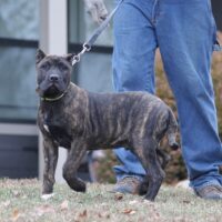 Blue16wks0z4a4946 Inpixio