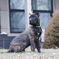 Blue16wks0z4a4957 Inpixio