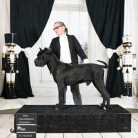 Dsc 0454 Edit Resized 1