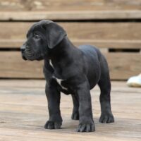 Notail7wks0z4a6580 Inpixio