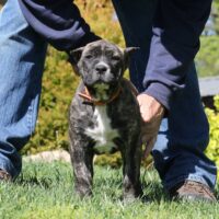 Orange9wks0z4a7767 Inpixio