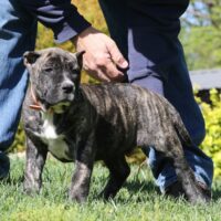 Orange9wks0z4a7784 Inpixio