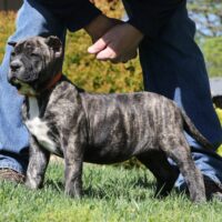 Orange9wks0z4a7815 Inpixio