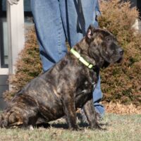 Pink16.5wks0z4a5340 Inpixio