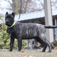 Red16wks0z4a4883 Inpixio