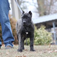 Red16wks0z4a4897 Inpixio