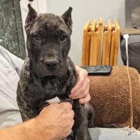 Screenshot 20251127 185726 Studio