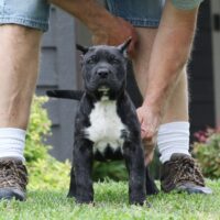 Silver7.5wks0z4a9483 Inpixio