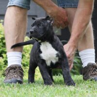 Silver7.5wks0z4a9491 Inpixio