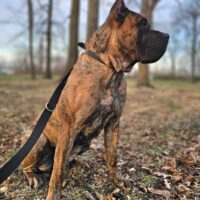 Received 1325633768771753