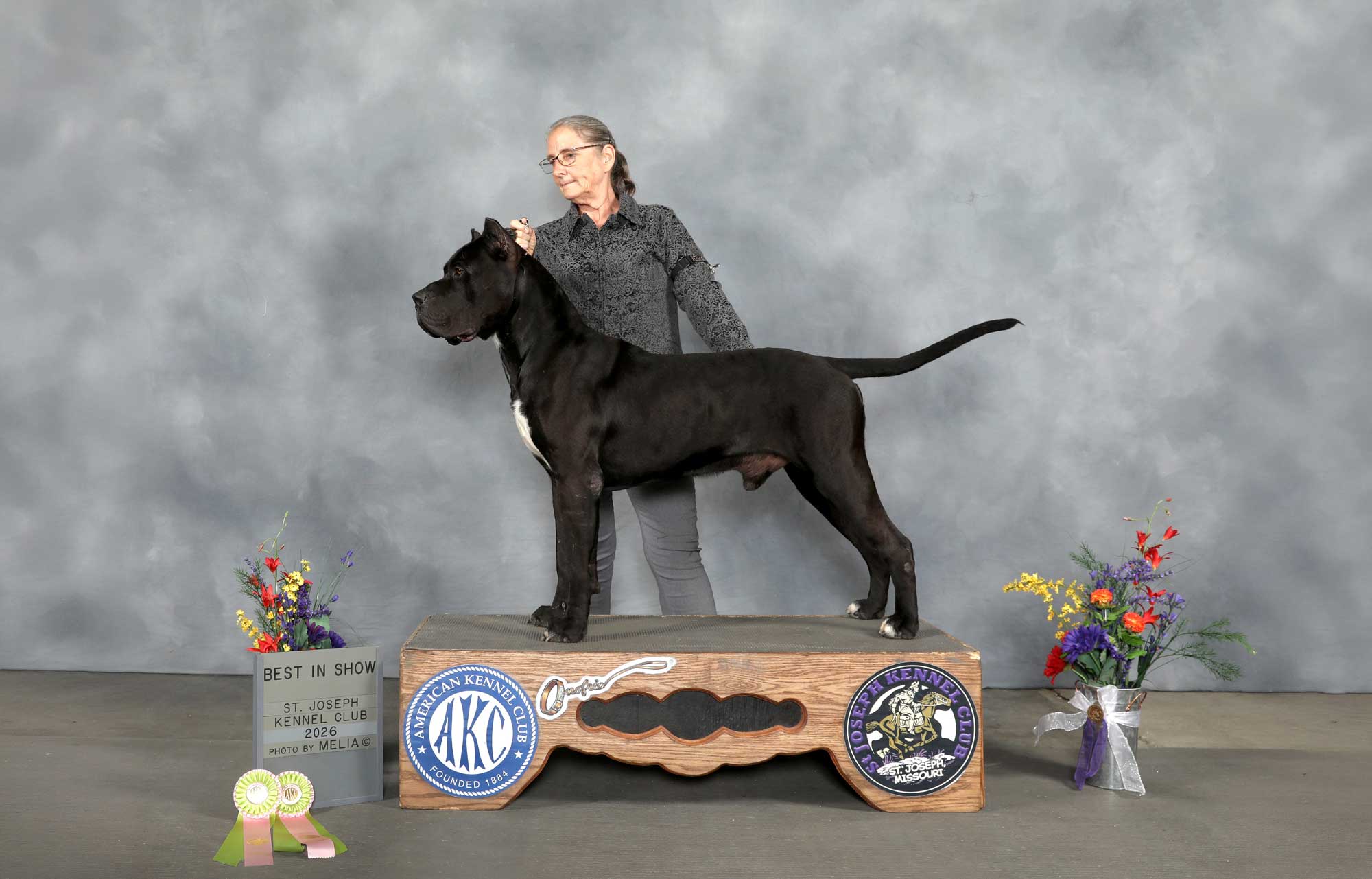 Show Dog